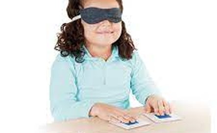 10997 - Touch-Photo Sensory Game