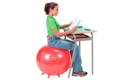 11135 - Sit n Gym large