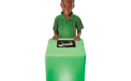 10313 - Extra Bright Light Cube